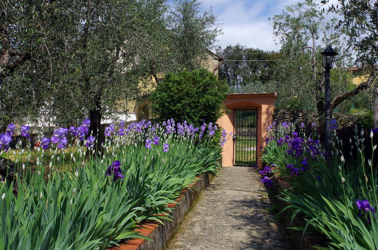 Villa Pacinotti Pistoia Exteriör bild